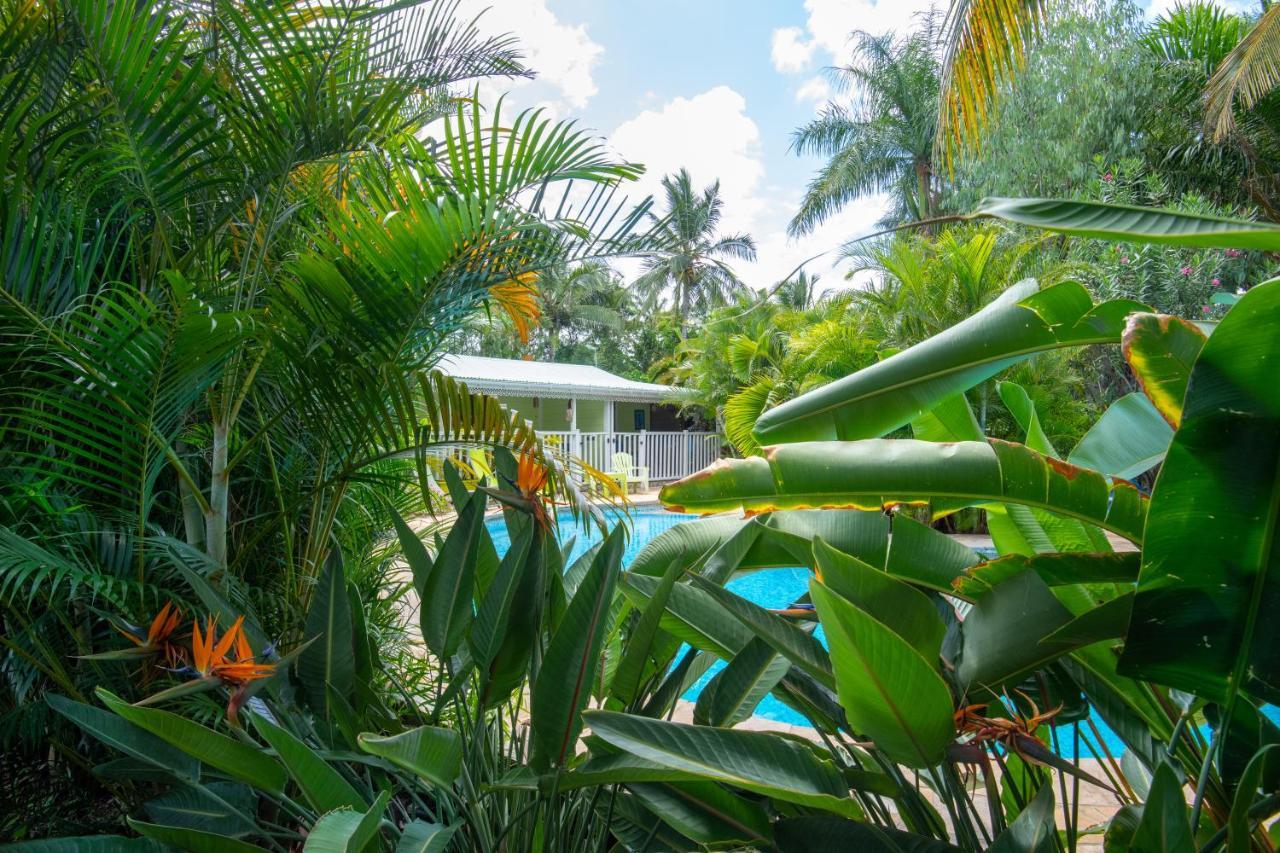 Villa Baobab et Palmiers Étang-Salé les Bains Exterior foto